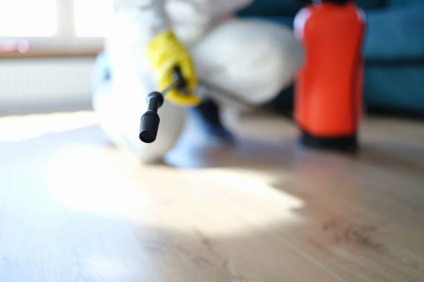 Best Air Quality Testing for Mold Spores  in Thruston, KY