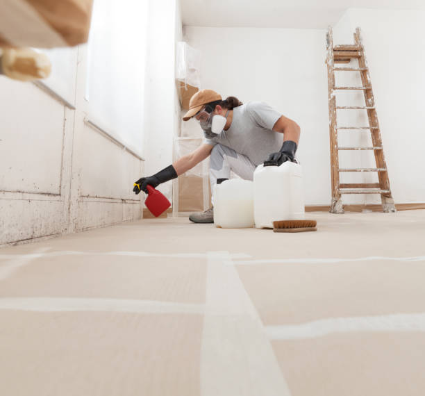 Best Water Damage & Mold Remediation  in Thruston, KY