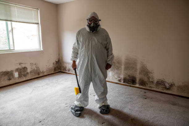 Best Commercial Mold Inspection  in Thruston, KY