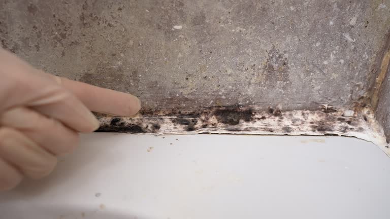 Best Dehumidification Services  in Thruston, KY